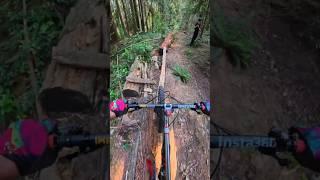 Riding an Expert Rainbow Skinny 