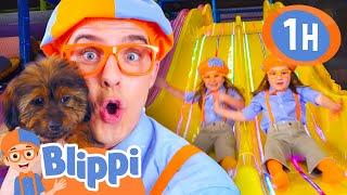 Blippi's Playdate: Dogs, Pets and SlidesEducational Kids Videos | Fun For Kids | After School Club