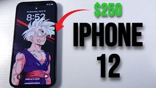 iPhone 12 In 2024! The Best Budget iPhone To Buy! (Now $250)