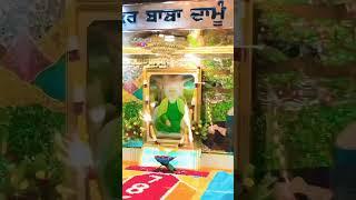 sachi sarkar baba danu  Shah  ji #Viral #shot #punjabi video