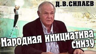 Д.В.Силаев. Народная инициатива снизу