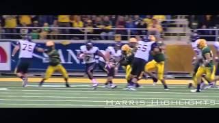 David Johnson || Northern Iowa Highlights