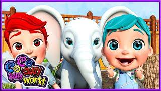 Zoo Song | Nursery Rhymes | Kids Songs | Coco Baby Crazy World