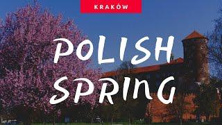 Spring in Kraków Poland