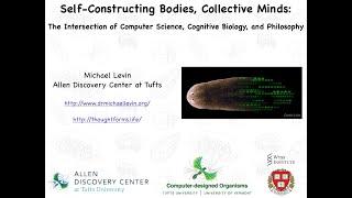 "Self-constructing bodies, collective minds: the intersection of CS, cognitive bio, and philosophy"