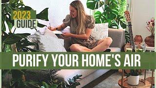 Unbelievable Transformation: How Bedrooms Transform with These Top 2023 Air Purifier Plants!