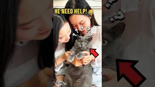 This Cat Can't Handle Meeting Twins! ️