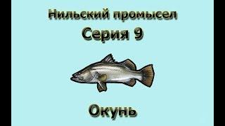 Русская Рыбалка 3.99 (Russian Fishing) Нильский промысел 9 - Нильский окунь