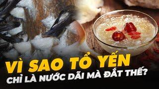 VÌ SAO TỔ YẾN CHỈ LÀ NƯỚC DÃI MÀ ĐẮT THẾ?