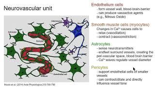 ISMRM MR Academy-BOLD Signal/Physiology