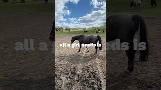 #horse #equestrian #horsegirls #horseriding