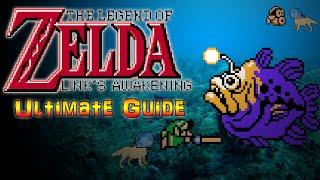 #Zelda The Legend of Zelda: Link's Awakening DX  - ULTIMATE GUIDE - ALL Levels, ALL Items, 100%!