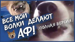 SQWOZ BAB feat. Пёсель - Все мои волки делают АФ  (Romkeee Full Remix) 