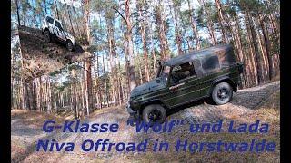 G Klasse und Lada Niva Offroad in Horstwalde