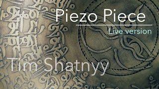 Tim Shatnyy - Piezo Piece (Live version)