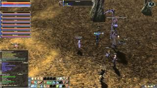 Lineage 2 Nostalgia - Guilotine, The Warden of Execution Grounds Raid Boss Lvl. 35