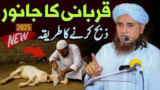 Qurbani Ke Janwar Ko Zibah Karne Ka Sharai Tarika | Mufti Tariq Masood Special Qurbani Ke Masail