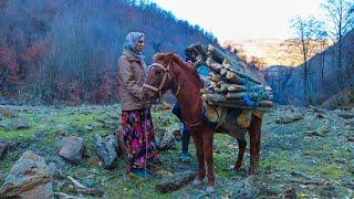 Far from Civilization : the Hard Life of a Rural Family in the Mountains