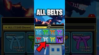 How To Get ALL Belts in Blox Fruits for DRACO Race...