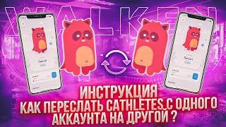 WALKEN | ИНСТРУКЦИЯ КАК ПЕРЕВЕСТИ CAThletes