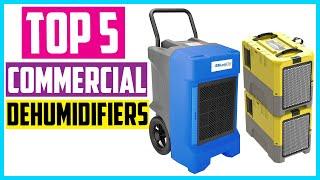 Top 5 Best Commercial Dehumidifiers in 2022 Reviews