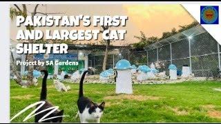 THE CRAZY CATS - SA Gardens (Pakistan's First Ever Open Cat Sanctuary)