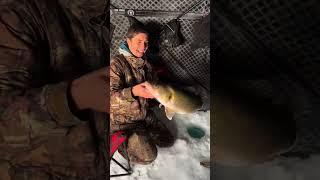 Catching a HUGE fish while ice fishing!!  #icefishing #fishing #walleye