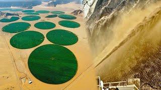 China's Techniques Transform Barren Lands Productive And Green