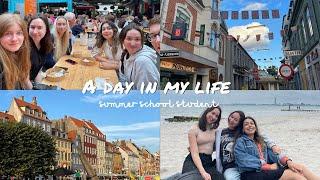 Aarhus University | A day in my life as a summer school student in Denmark