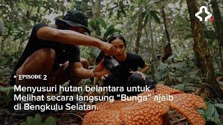 Ekspedisi Wonderland Indonesia (Episode 2) Keajaiban Bumi Rafflesia