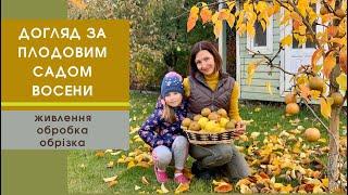 Догляд за плодовим садом восени Що потрібно зробити та в якій послідовності