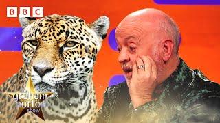 When animal safety advice goes WRONG... | The Graham Norton Show - BBC