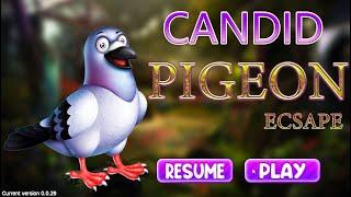 G4K Candid Pigeon Escape Game Walkthrough