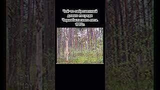 Заброшенный дом в Чернобыльском лесу.1992г.#old #retro #chernobyl #чернобыль #сталкер #лес #90s #scp
