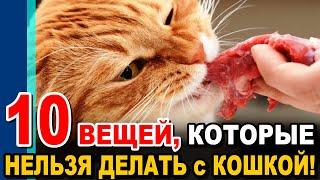 10 Вещей, Которые НЕЛЬЗЯ ДЕЛАТЬ С КОШКОЙ!