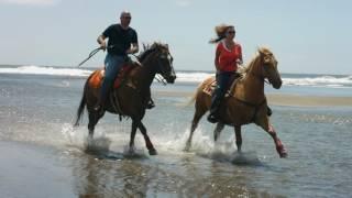 Discover Long Island