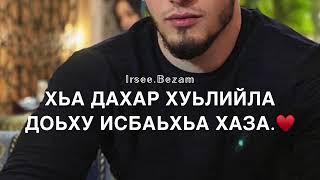 Песня Поздравительное! Дал декъал войл️