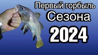 Черноморский горбыль! Морская рыбалка в Крыму. Открываю сезон 2024