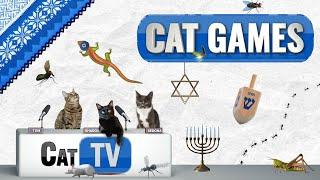 Cat Games |  Hanukkah for Cats | Festive Fun For Feline Friends 