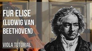 How to play Fur Elise by Ludwig Van Beethoven on Viola (Tutorial)