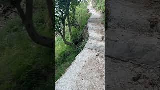 Pahado_ki_mehnat#youtube #youtubeshorts #shorts #shortsviral #trending #viral #love #pahadi