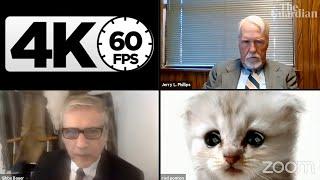 "I'm not a cat!": US lawyer's Zoom catastrophe「4K 60FPS」by Dalƒ