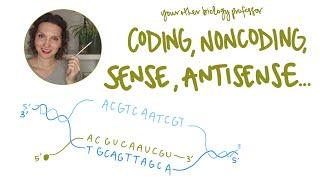 DNA Strands: template, nontemplate, coding, noncoding, sense, antisense...what's the difference?!