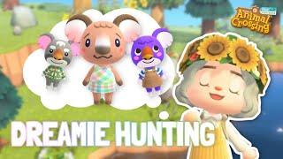 Villager Hunting for ALL THE KOALA VILLAGERS in Animal Crossing: New Horizons 