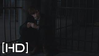 Newt Explica Que Es Un Obscurial - Animales Fantásticos y Donde Encontrarlos LA (HD)