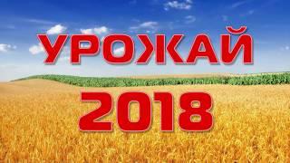 Урожай - 2018 (Динской район)