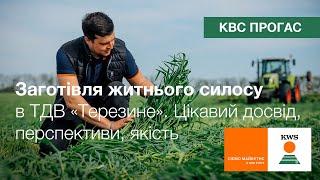 КВС ПРОГАС. Заготівля житнього силосу: скошування, трамбування, консервація. Досвід ТДВ «Терезине»