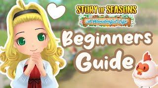 Beginners Guide for Story of Seasons A Wonderful Life | Early Game Tips