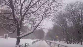 Москву занесло снегом...  Январь 2016
