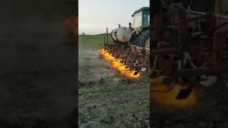 The FASTEST way to remove Weeds